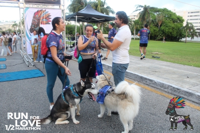 Run for Love 2024